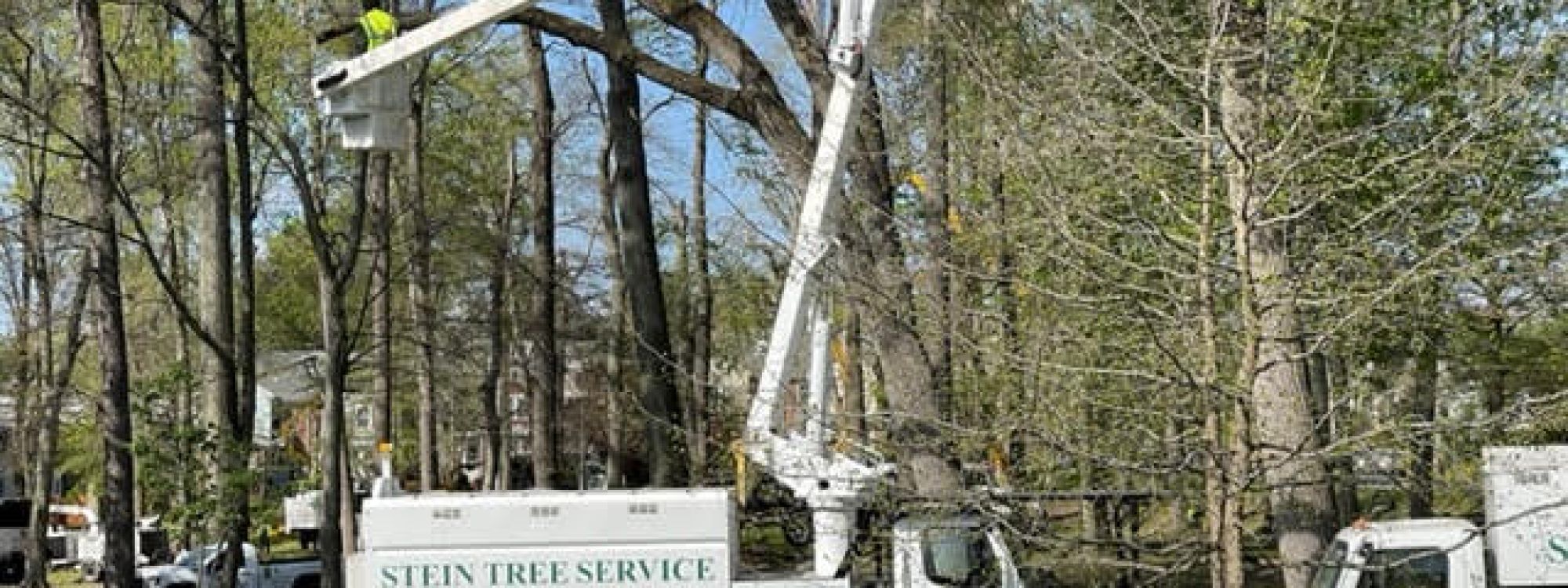 Stein Tree Lift Truck - Tree Trimming in Talleyville DE